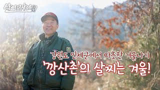 (살어리랏다4) 나 홀로 산생활 10년, ‘깡산촌’의 살찌는 겨울! ktv, korea tv, return to rural , winter mountain(강원도 인제)