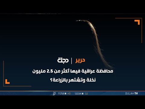 حزورة حرير محافظة عراقية فيها أكثر من 2 5 مليون نخلة وتشتهر بالزراعة