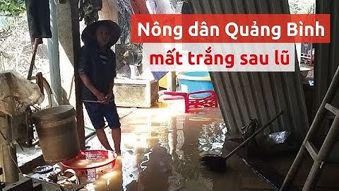 Nông dân Quảng Bình mất trắng tài sản sau lũ - PLO