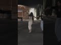 حلا دبكا