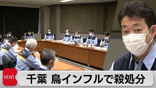 千葉の養鶏場で鳥インフル　6万6,000羽を殺処分（2022年1月19日）