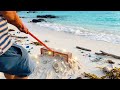 Raking 1,000kg of Sand to Save the Ocean (And Finding Fortune)