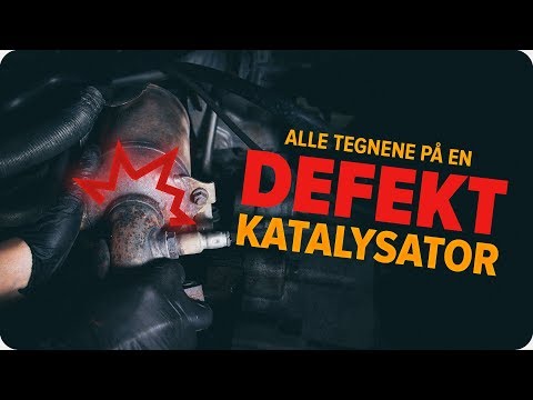 Slik sjekker du en katalysator | Tips fra AUTODOC