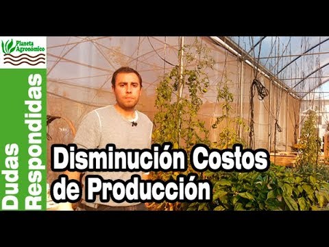 Video: Cómo Reducir Los Costos De Producción