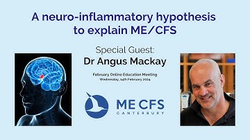A Neuroinflammatory Model for ME/CFS (a hypothesis)