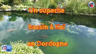 Un superbe bassin à Koï en Dordogne