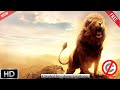 140, Free Christian Loop Background Video HD No Copyright / Lione / Chri...