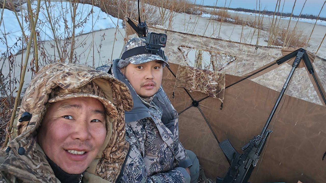 Сезон охоты на гуся 2025,  часть 1.  Goose Hunting Season 2025 Part 1