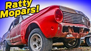 MOPAR Hoarder Shows Off His Collection of Parts Cars and Projects