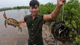 Wow! Biggest Mud Crab I Never Caught/ Surprisingly Found Mud Crab In Coconut Shell