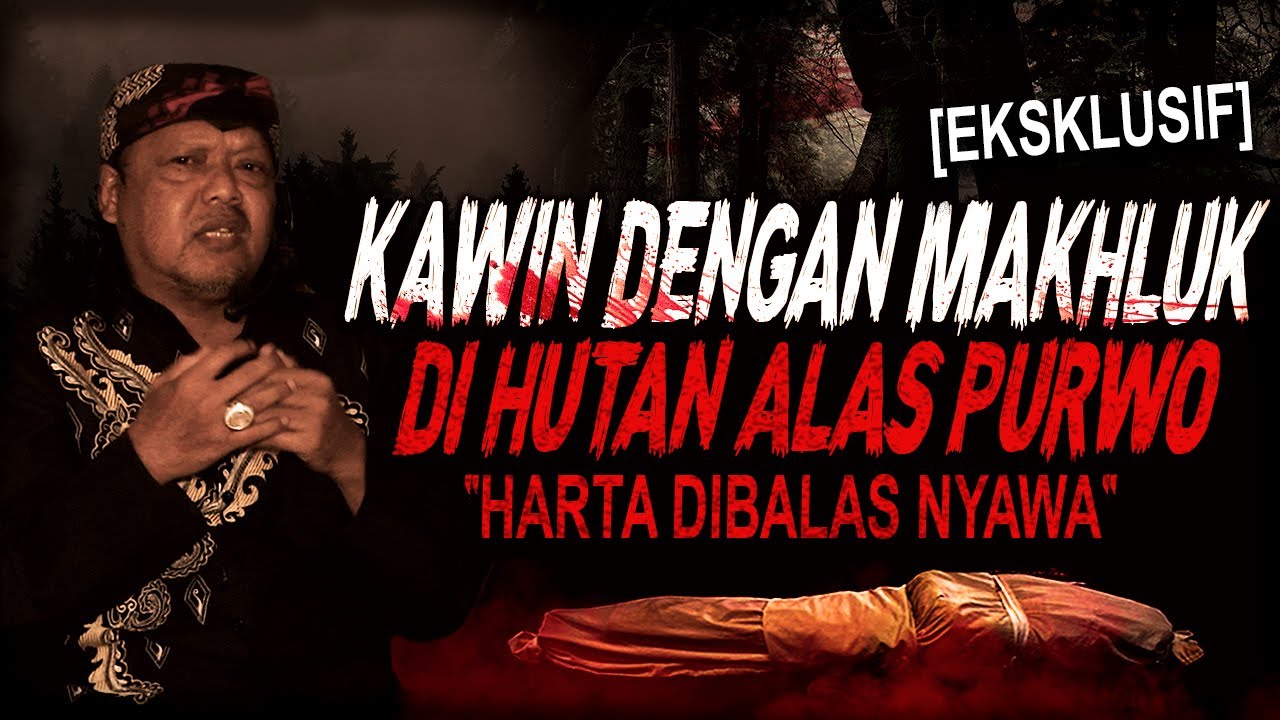 KAWIN DENGAN JIN ALAS PURWO DIKASIH KEKAYAAN TAPI MATI BRO !! KISAH MISTIS PESUGIHAN ALAS PURWO