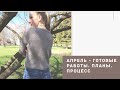 ГОТОВЫЕ РАБОТЫ АПРЕЛЯ | НОВЫЙ ПРОЦЕСС | ОРГАНАЙЗЕР ДЛЯ СПИЦ СВОИМИ РУКАМИ