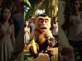 Street Interviews: When Animals Talk! 🐶🐱🐦 #animalinterview #funny #monkey #tiktok
