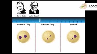 An Overview of Epigenetics