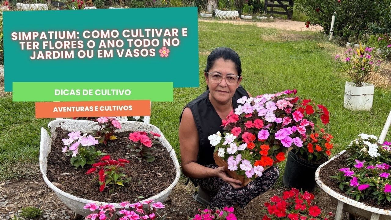 Simpatium: Como Cultivar e Ter Flores o Ano Todo no Jardim ou em Vasos 🌸