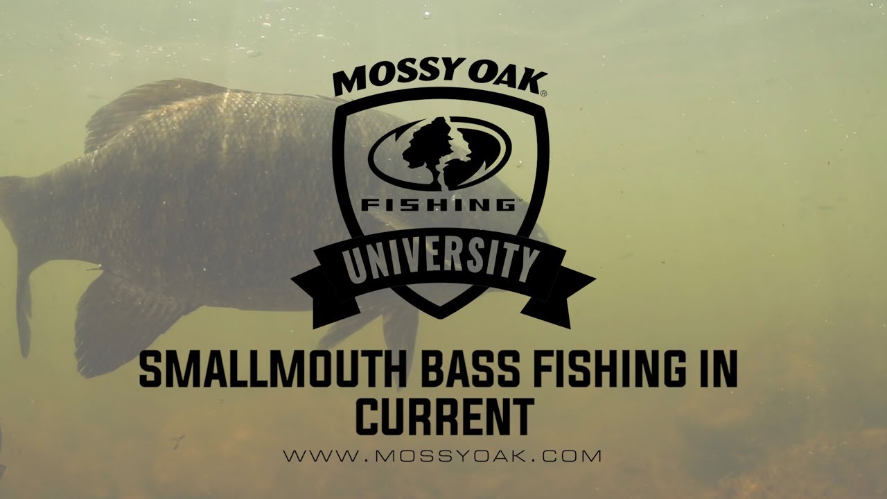 Smallmouth Bass Fishing - Rods and Reels