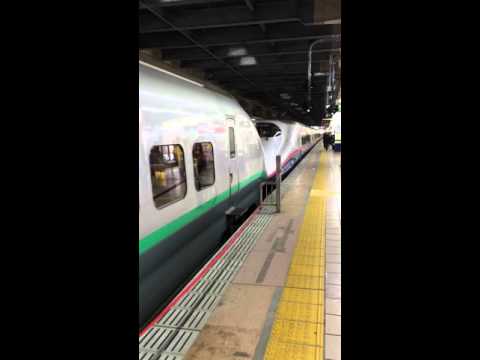 東北・山形新幹線 やまびこ・つばさ(旧塗装) 大宮駅