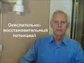 Окислительно-восстановительный потенциал ОВП Alexander Zakurdaev