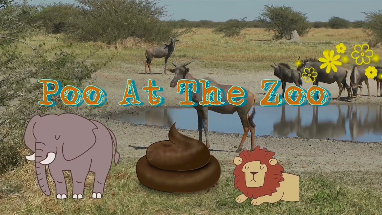 Poo At The Zoo YouTube