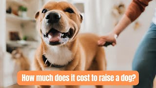 How much does it cost to raise a dog? | DoggieTalk