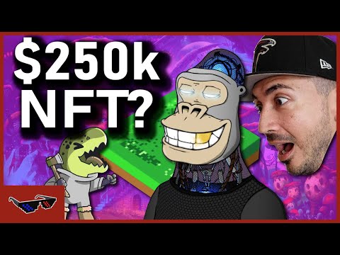 5 MOST EXPENSIVE Cardano NFT's (Top Sales OF ALL TIME)