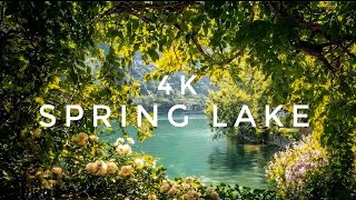 4K Relaxing Lazy Sunday Spring Window 🌿 Lake View Ambience ASMR🍀  #naturesounds #relaxation #nature