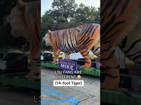 LSU fans don’t play 👀