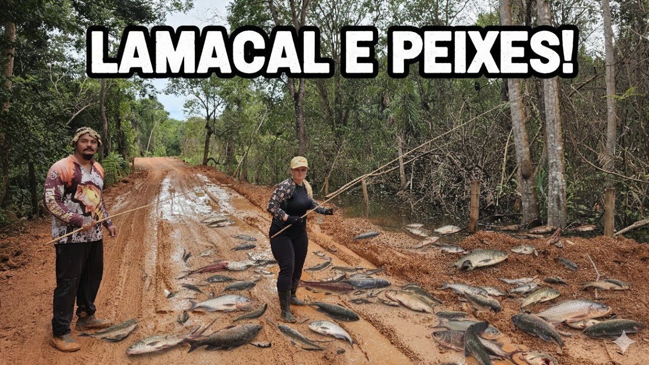FENÔMENO NO CÓRREGO? Nunca vi tanto peixe num lugar tão improvável!
