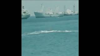 Beirut Saint George Bay 1974 . 
