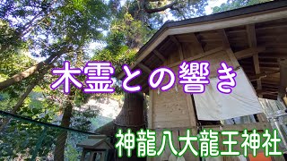 【奉納演奏/インディアンフルート】木霊との響き　神龍八大龍王神社