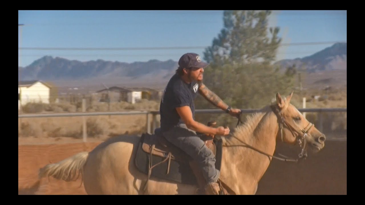 Back In The Saddle