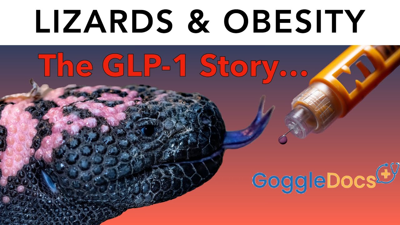 gila monster and glp 1 The GLP-1 Story... (a GoggleDocs Podcast)