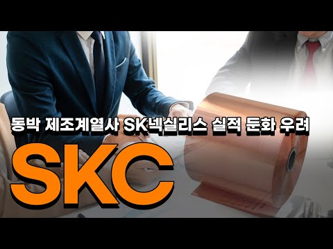   SKC 동박 제조계열사 SK넥실리스 실적 둔화 우려 Skc Skc전망 Skc분석