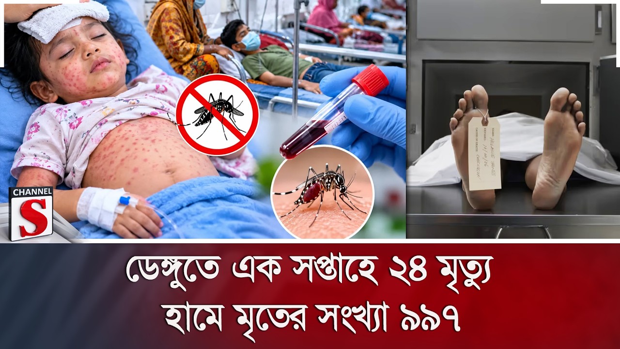 ডেঙ্গুতে এক সপ্তাহে ২৪ মৃ/ত্যু; হামে মৃ/তের সংখ্যা ৯৯৭ | Dengue | Measles | Channel S News