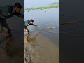 #রুই_মাছ #নদীর_মাছ