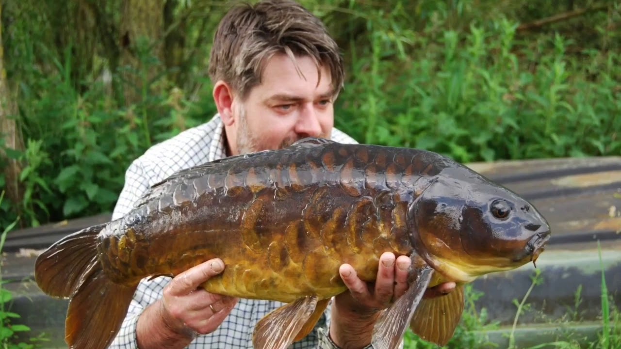 Best carp fishing lake in the Lake District YouTube