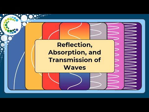 Reflection, Absorption, and Transmission of Waves