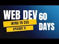 Introduction to CSS | Day 11 of 60 Days Web Development Challenge