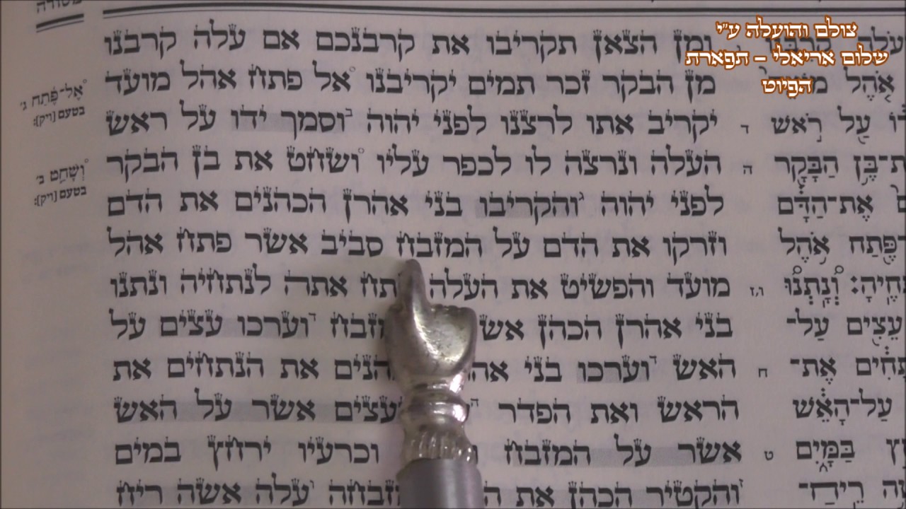 קריאת התורה פרשת ויקרא החזן המוסיקאי משה חבושה