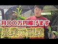 農業で副業する方法を大公開！！サラリーマンでも稼げる農業副業を紹介します！