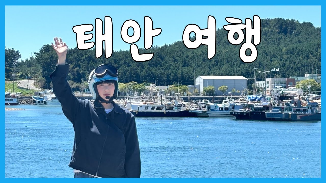 맛집 총 집합!! 꿀맛 꿀잼 태안 여행🦀