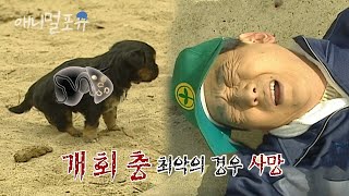 시청자 요청🚛 농촌 사람 4명 중 1명은 감염이 됐다는 이것??ㅣKBS 위기탈출 넘버원 110411 방송