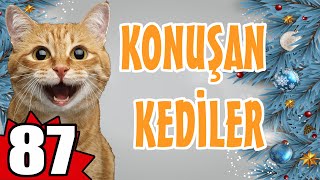 Konuşan Kediler 87 - En Komik Kedi Videoları - Pati TV by Pati TV 152,031 views 6 months ago 9 minutes, 37 seconds