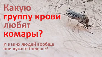 Почему комары одних людей кусают, а других - нет