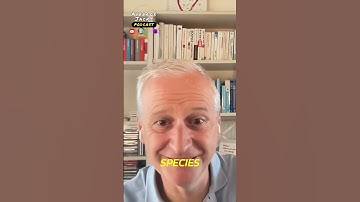 Connected but lonely? Simple ways to boost wellbeing NOW! #shorts