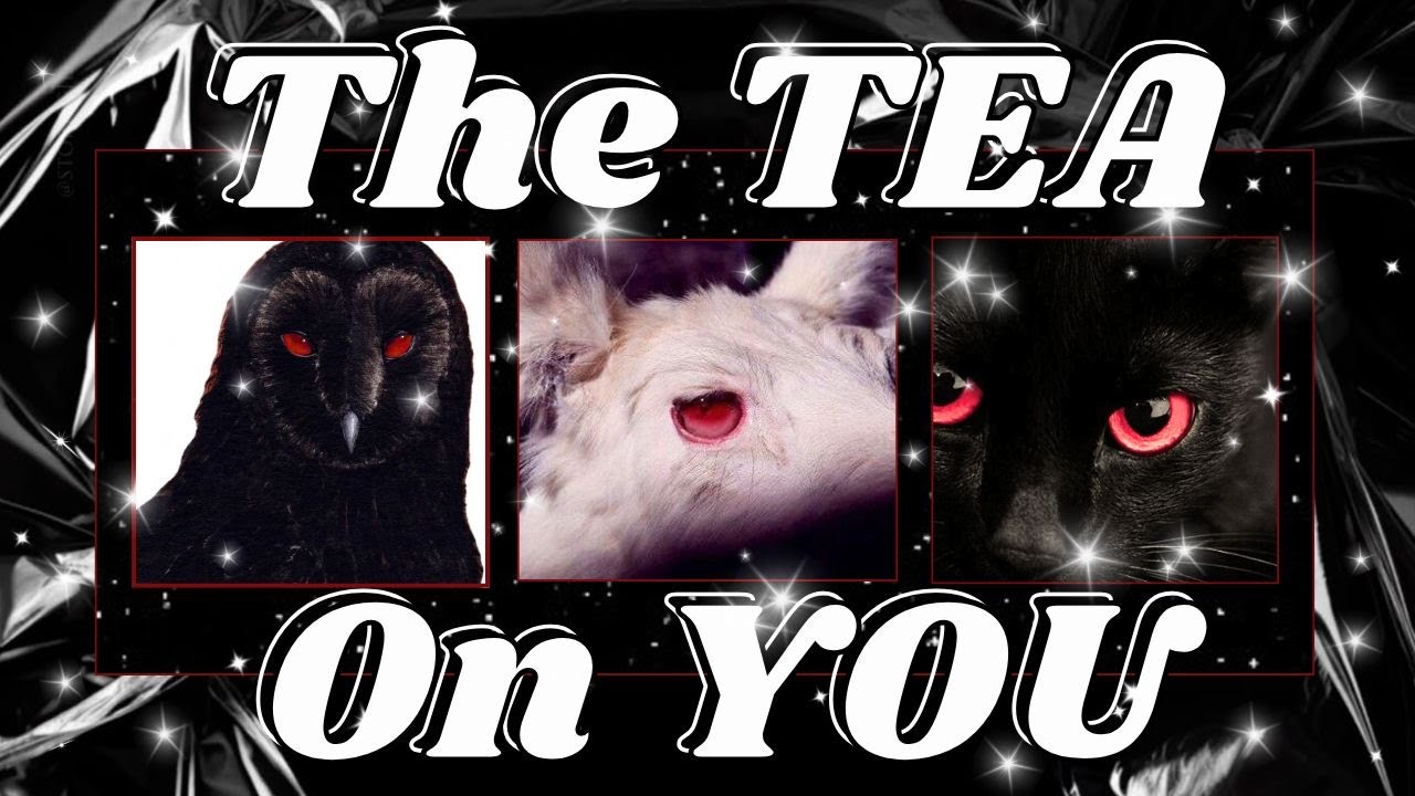 ☕️ ❣️ Чай за ваш счёт ❣️ Выберите карту 🔮 