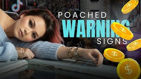 Creator Networks poaching for profit — The violation they never explained 