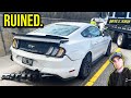 My supercharged mustang gt got hit by a nissan altima