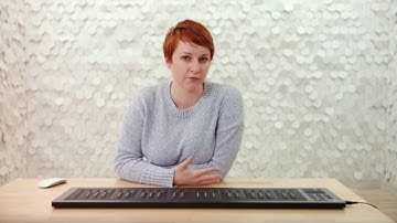 An Introduction to the Seaboard RISE  2 5   SLIDE