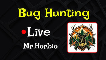 Live Bug Bounty Hunting | Ethical Hacking, Web App Security & Real-Time Recon